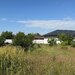 Domnesti, strada Ghioceilor, vand teren intravilan.