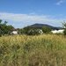 Domnesti, strada Ghioceilor, vand teren intravilan.